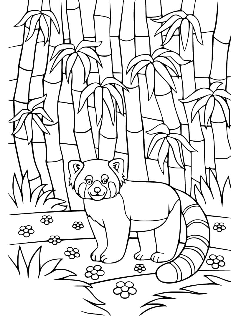 Red Panda in Bamboo Forest Coloring Page