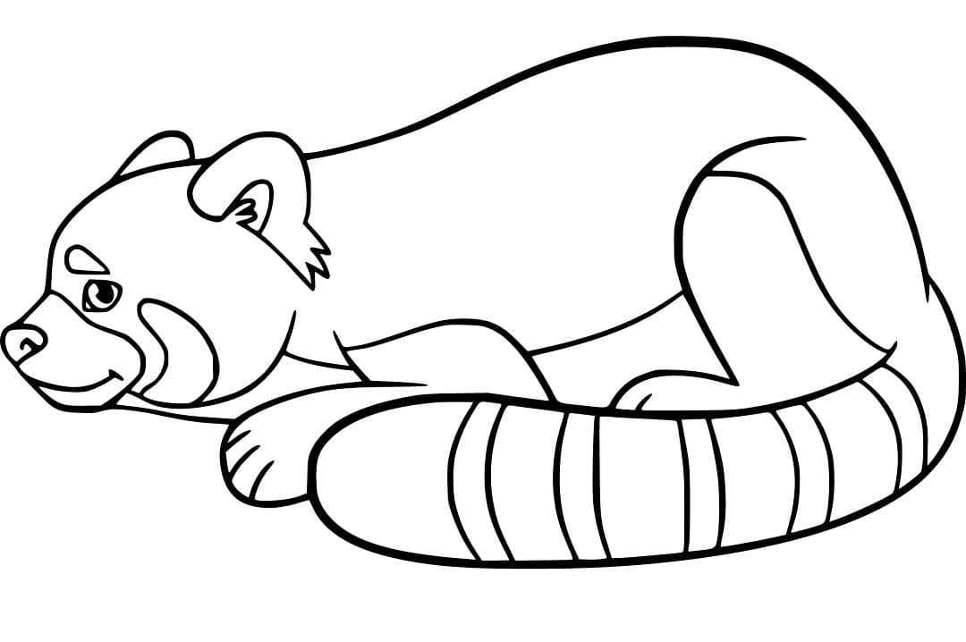 Red Panda on Ground Coloring Page