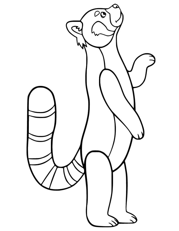 Red Panda Standing Coloring Page