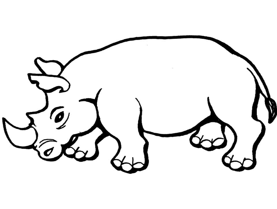 Rhino 1 Coloring Page
