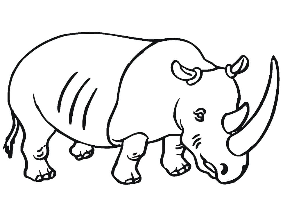Rhino with Big Horn Coloring Page
