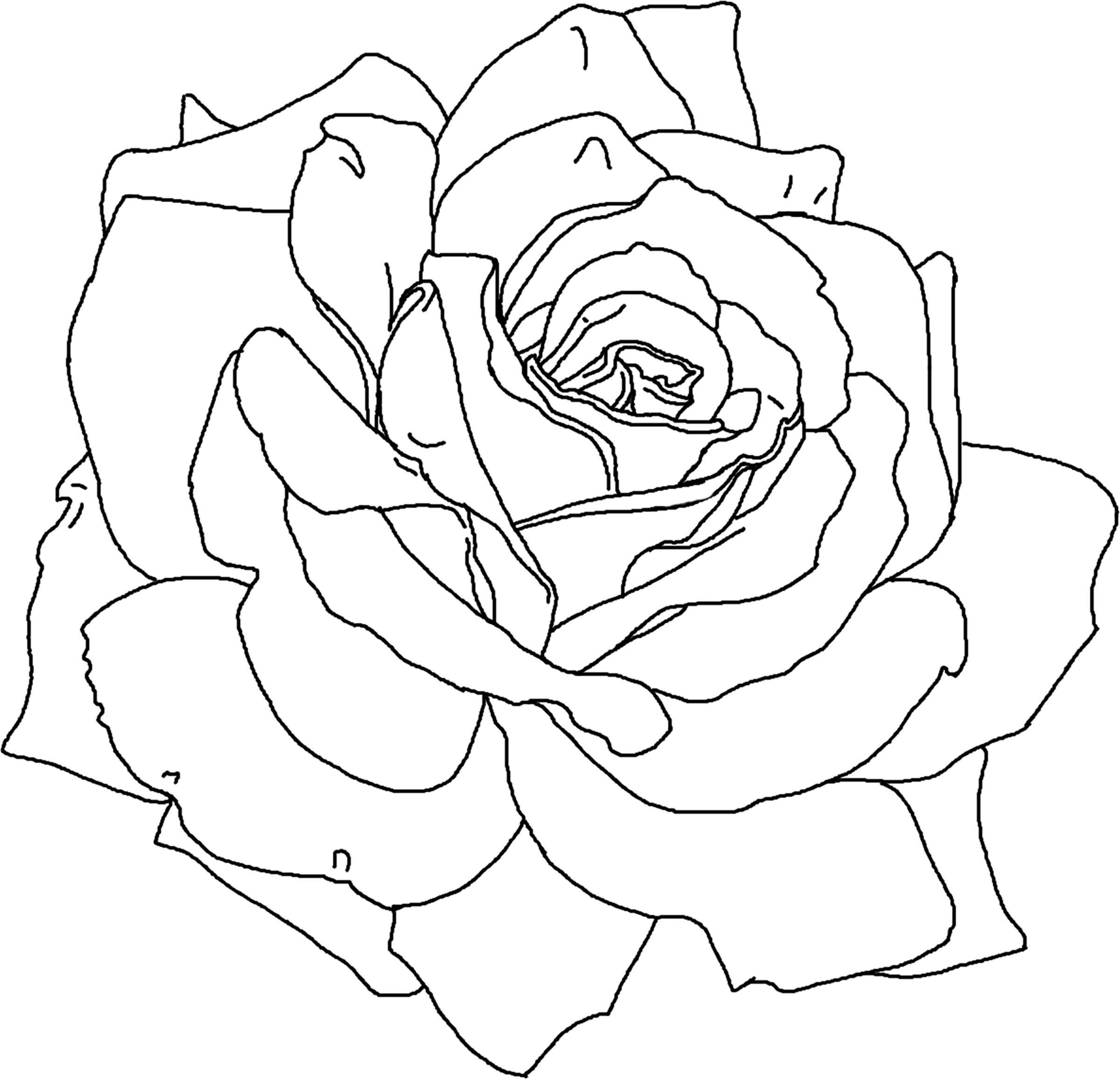 Rose Flower Cute Coloring Page