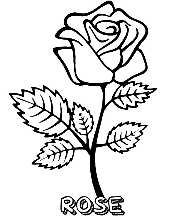 Rose Flower To Print Coloring Page