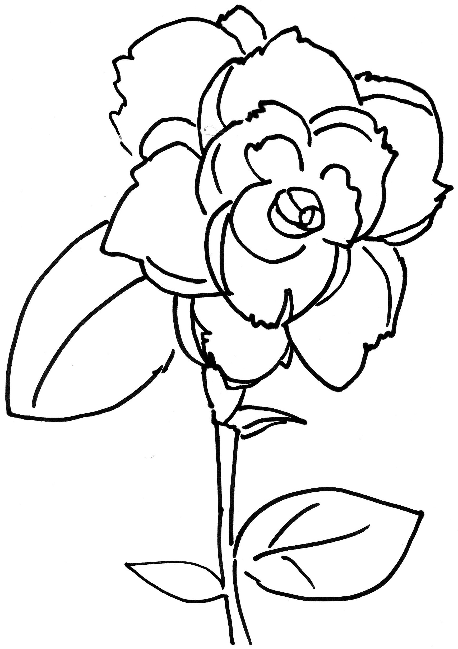 Roses For Valentine Coloring Page