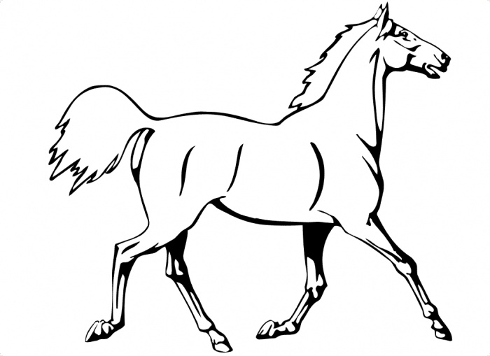Running Horse Saebd Coloring Page