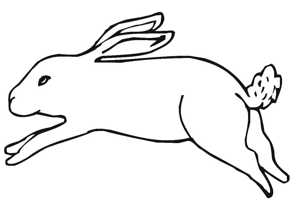 Running Jack Rabbit Coloring Page