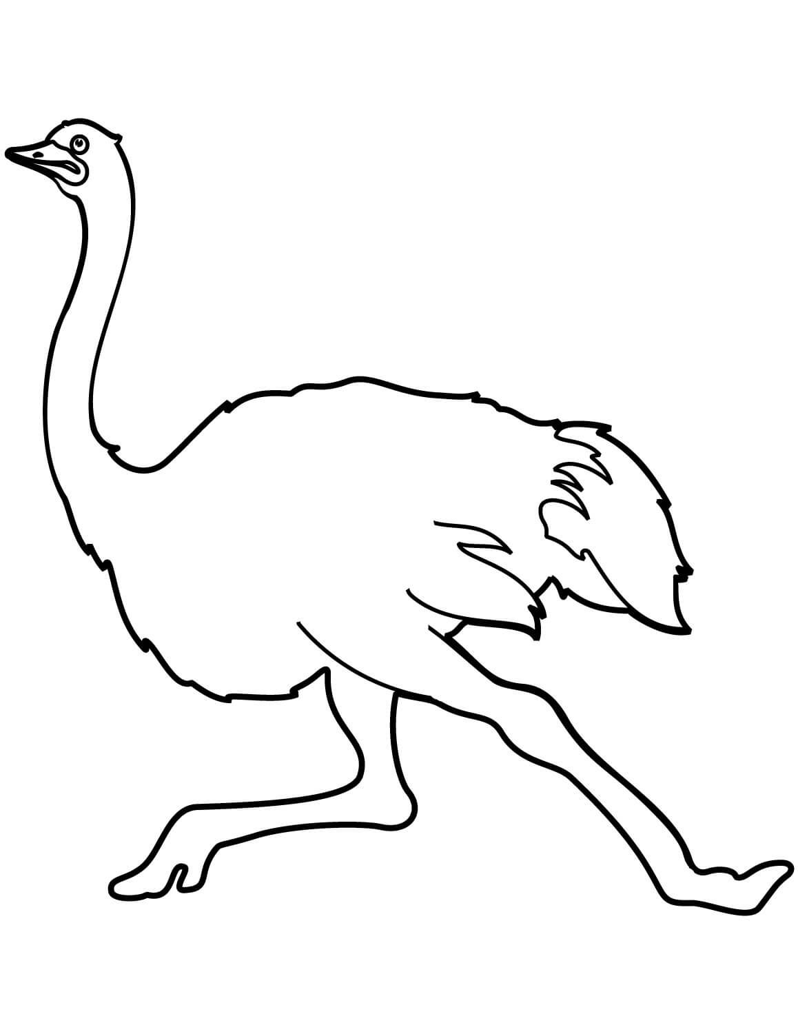 Running Ostrich Coloring Page