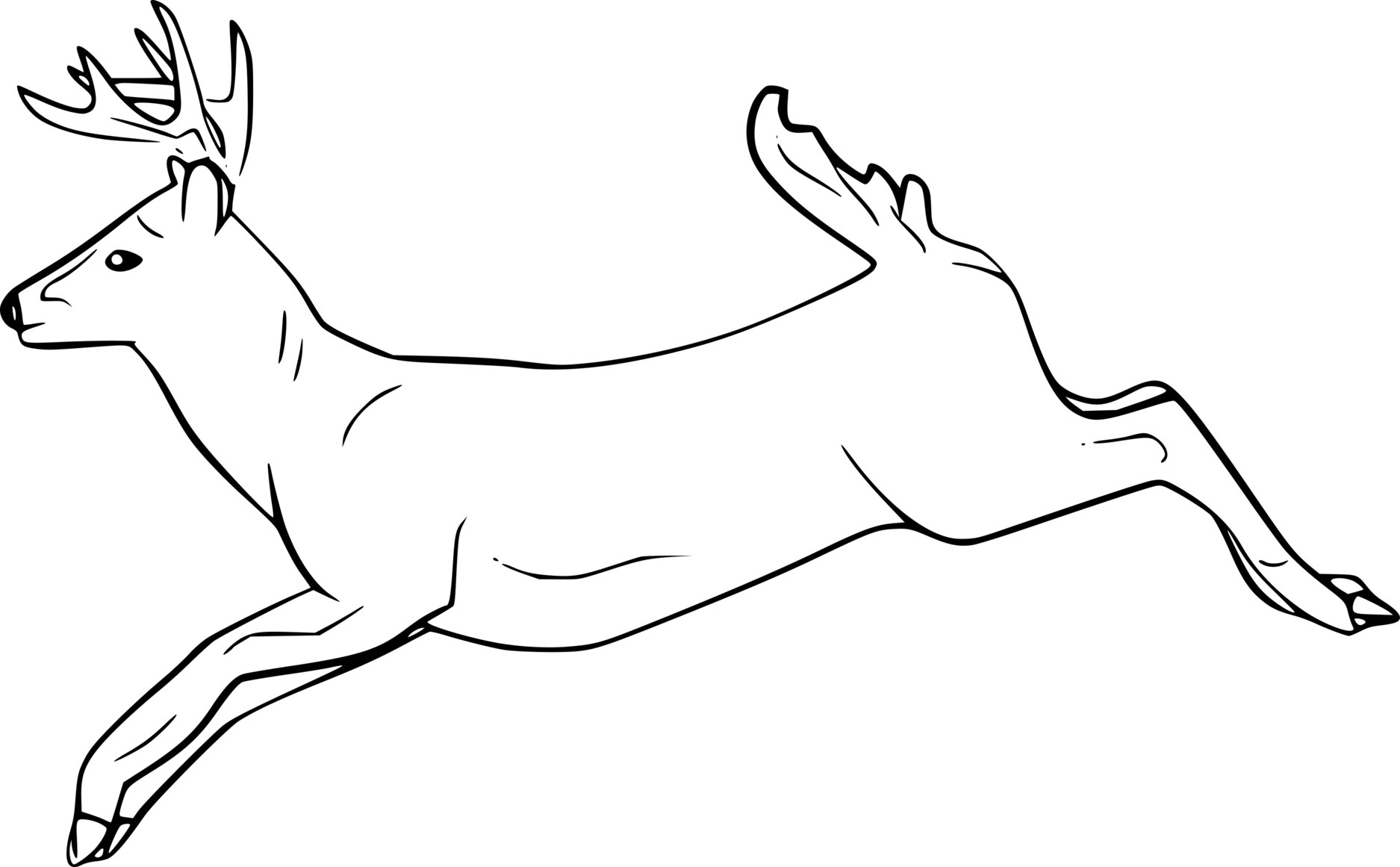 Running White Tailed Deer Coloring Page