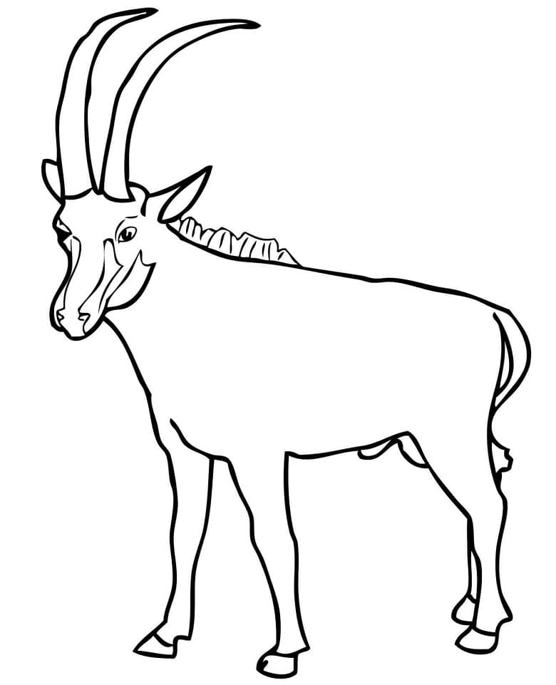 Sable Antelope Coloring Page