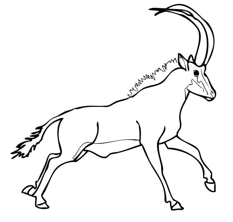 Sable Antelope Runs Coloring Page