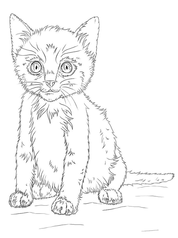 Sad Kitten Coloring Page