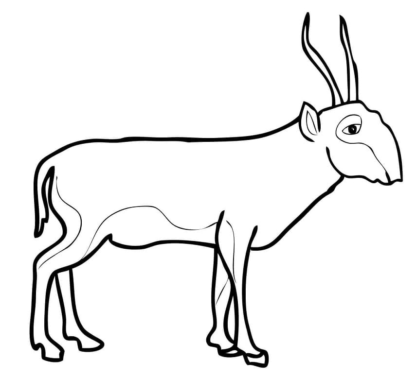 Saiga Antelope Coloring Page