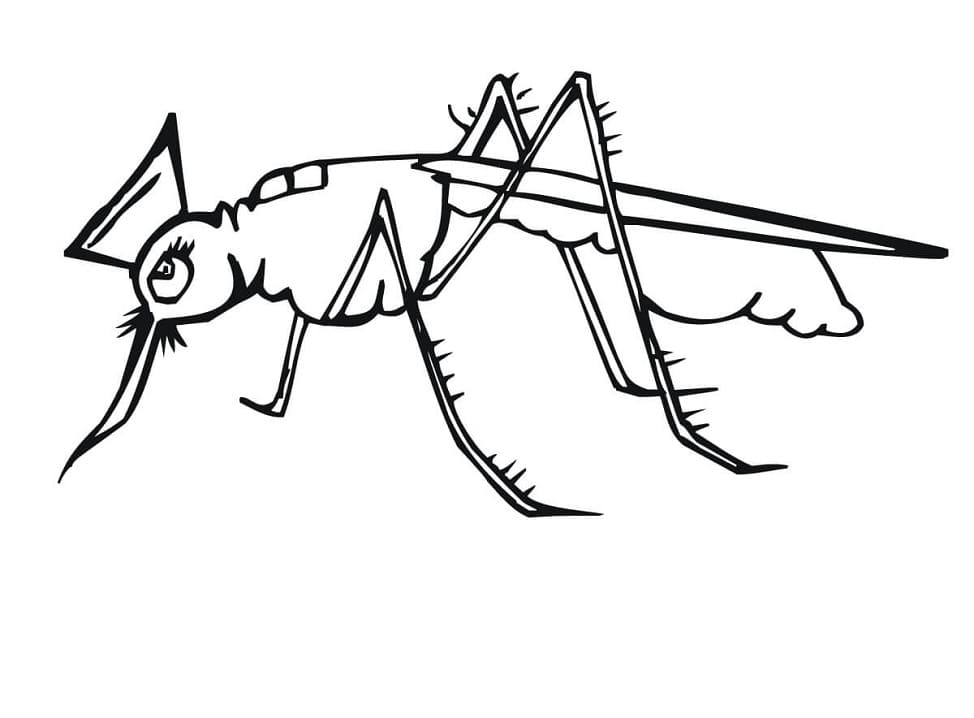 Scary Mosquito Coloring Page
