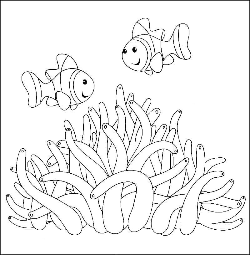 Sea Anemone 4