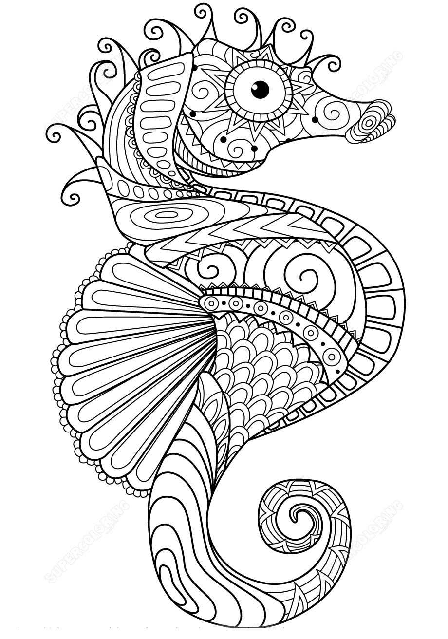 Sea Horse Zentangle Adults Coloring Page