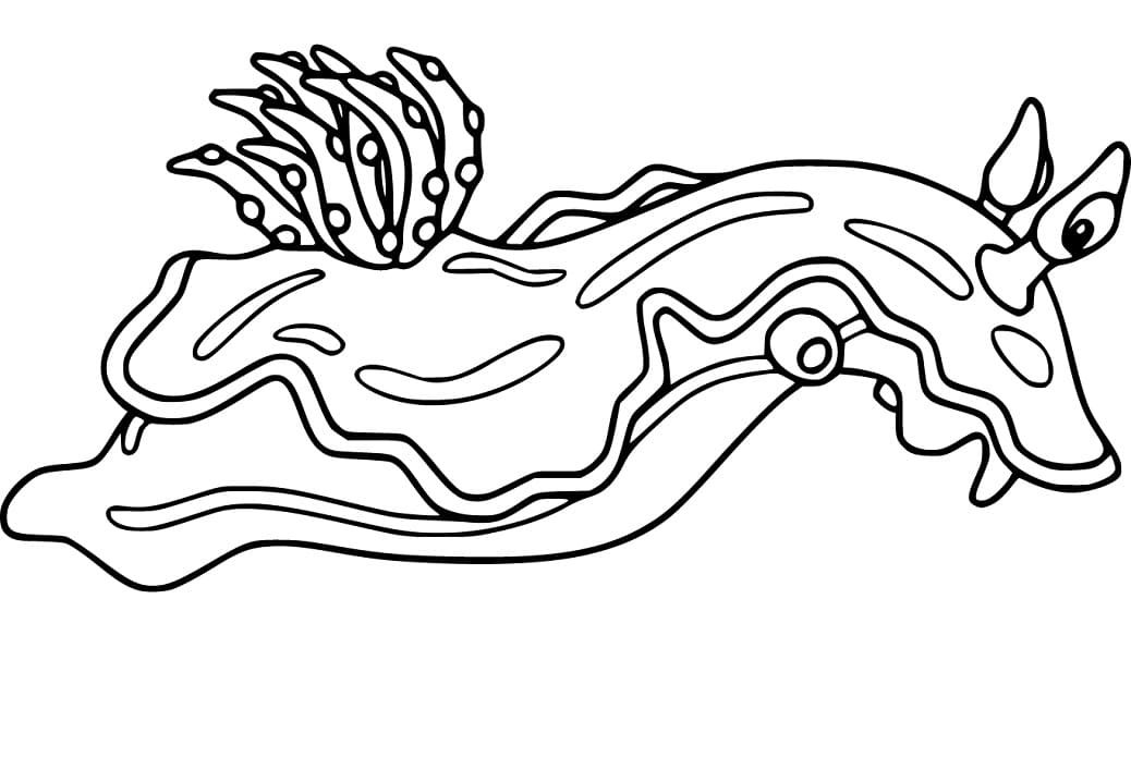 Sea Slug 1