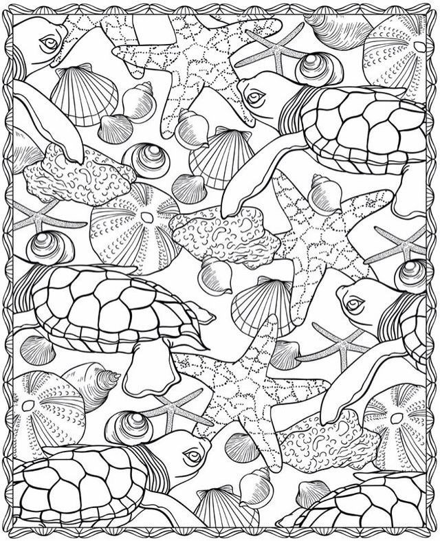 Sea Turtle Starfish Design