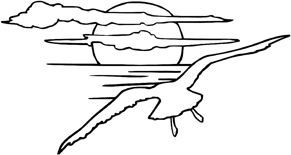 Seagull in the Sunset Coloring Page