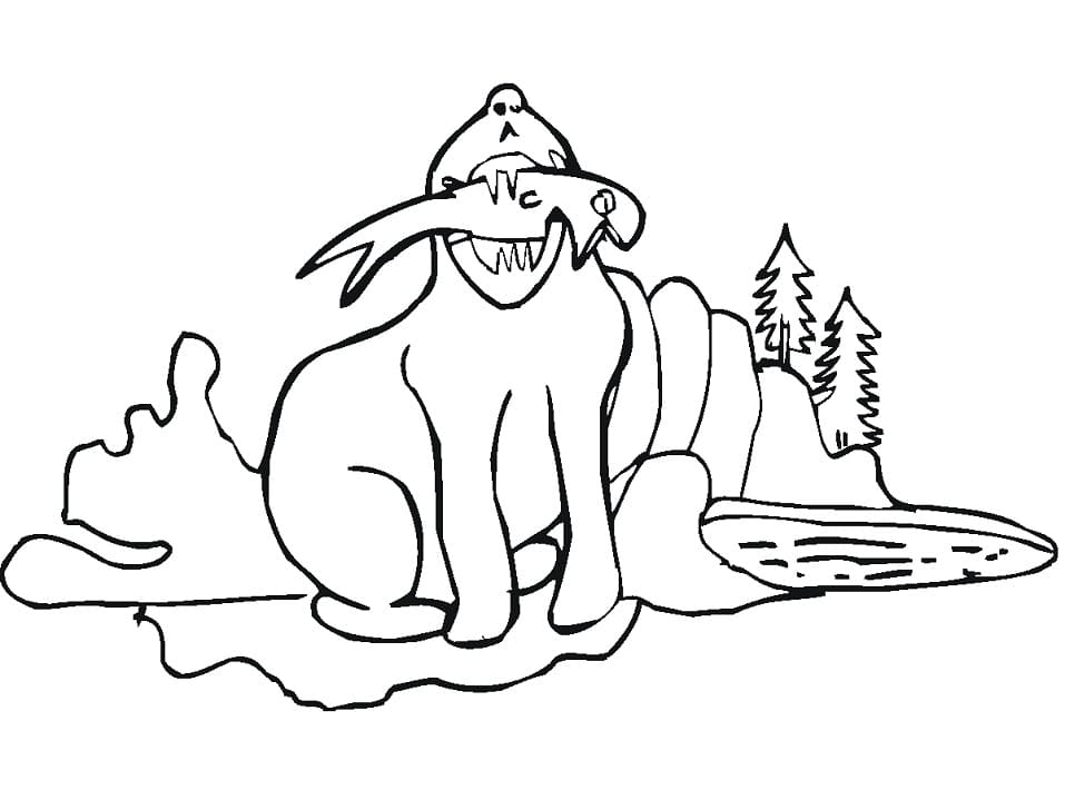Seal Catching Fish Coloring Page