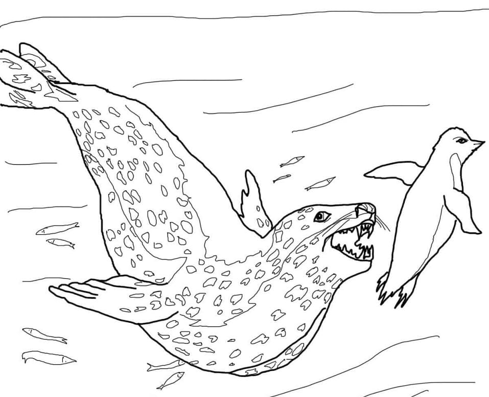 Seal Hunts Penguin Coloring Page