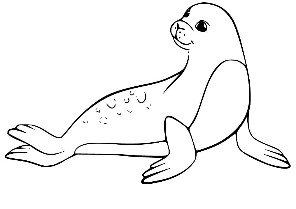 Seal Smiling Coloring Page