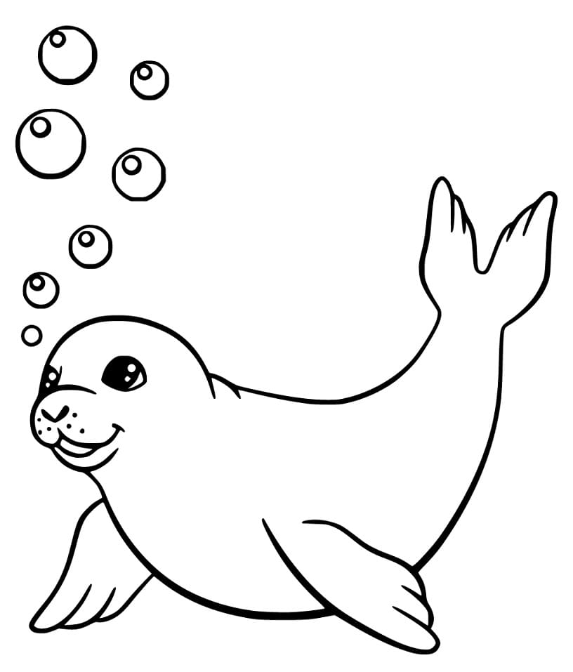 Seal Swimming Coloring Page