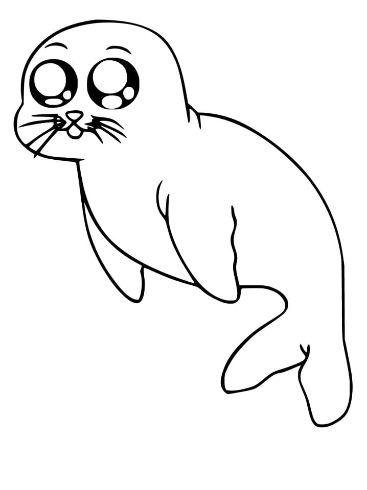 Seal with Cute Eyes Coloring Page