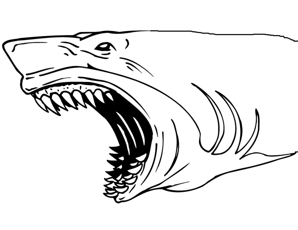 Shark’s Scary Jaw Coloring Page
