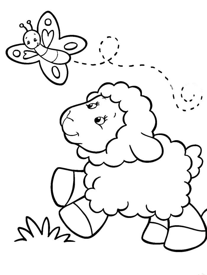 Sheep And Butterfly Coloring Page