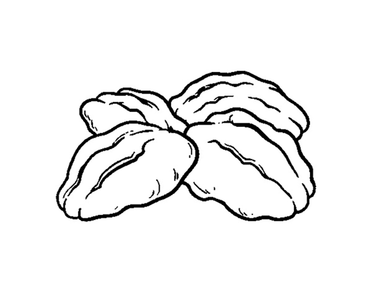 Shelled Walnuts Coloring Page