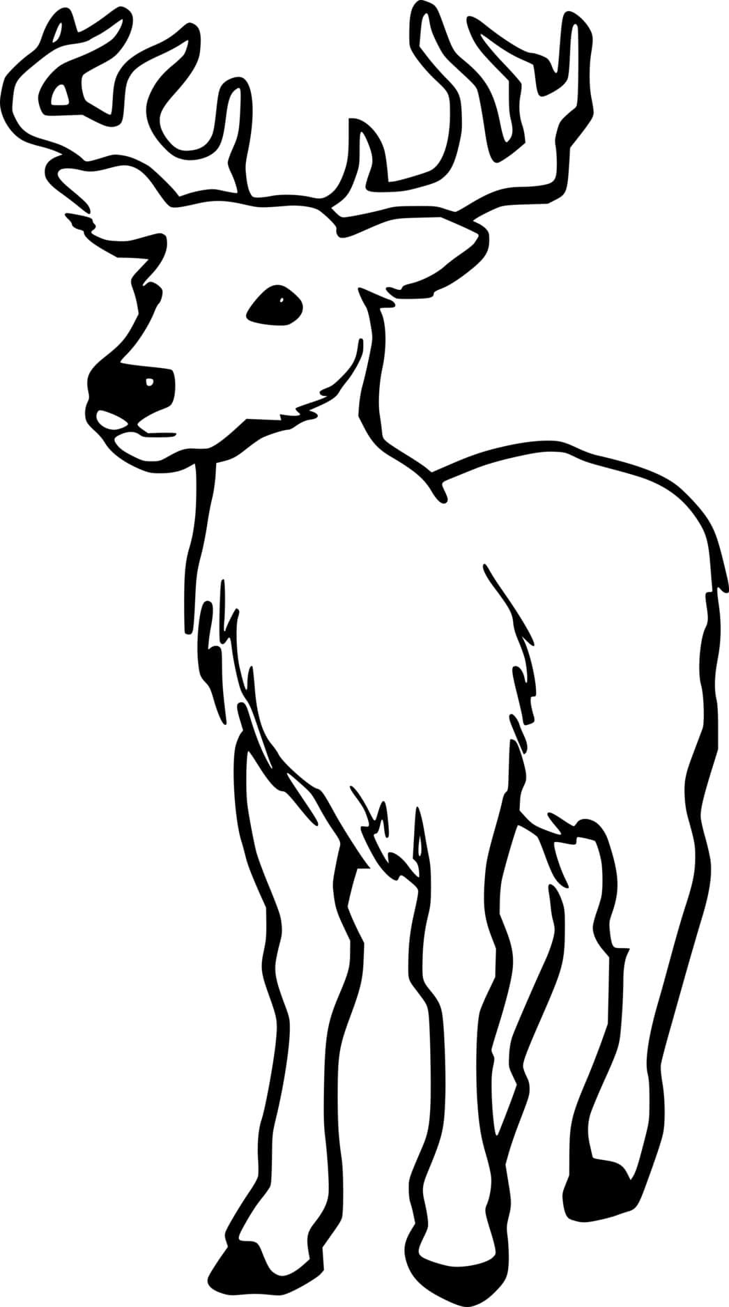 Simple Virginia Deer Coloring Page