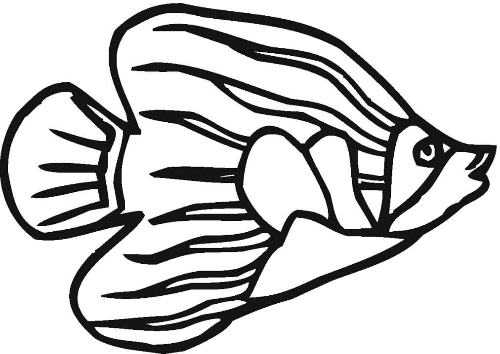 Simple Angelfish Coloring Page