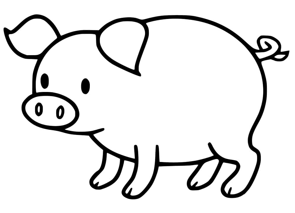 Simple Baby Pig