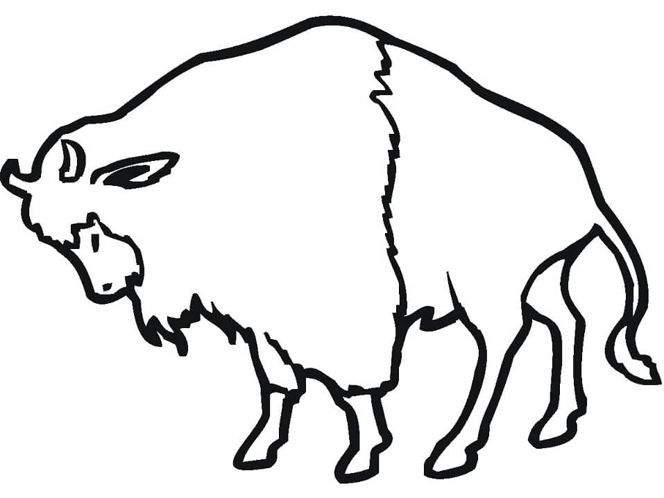 Simple Bison 1