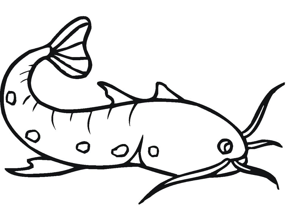 Simple Catfish Coloring Page
