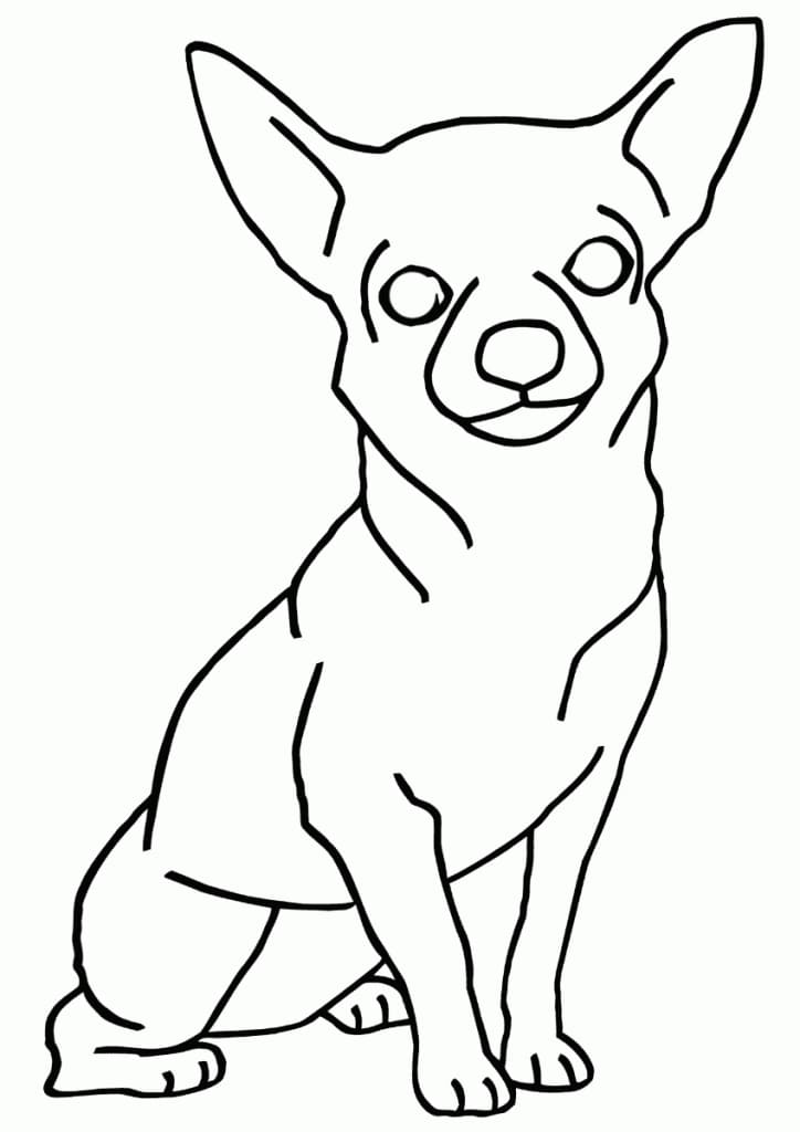 Simple Chihuahua Coloring Page