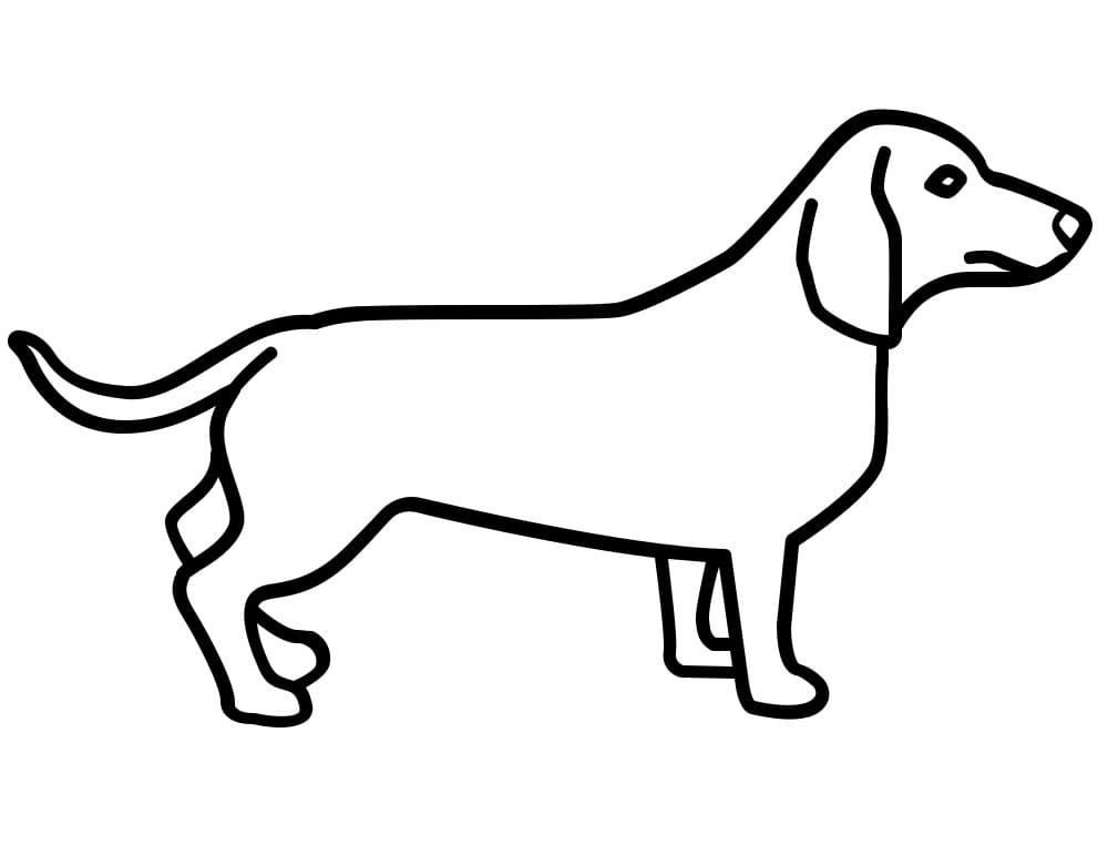 Simple Dachshund 1 Coloring Page