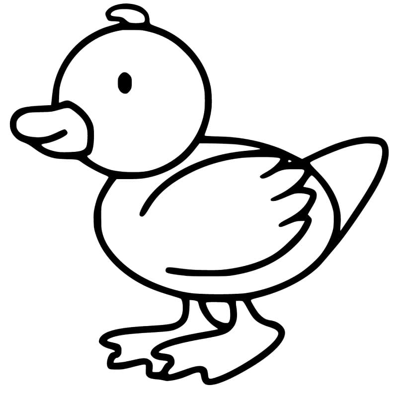 Simple Duckling