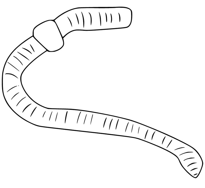 Simple Earthworm