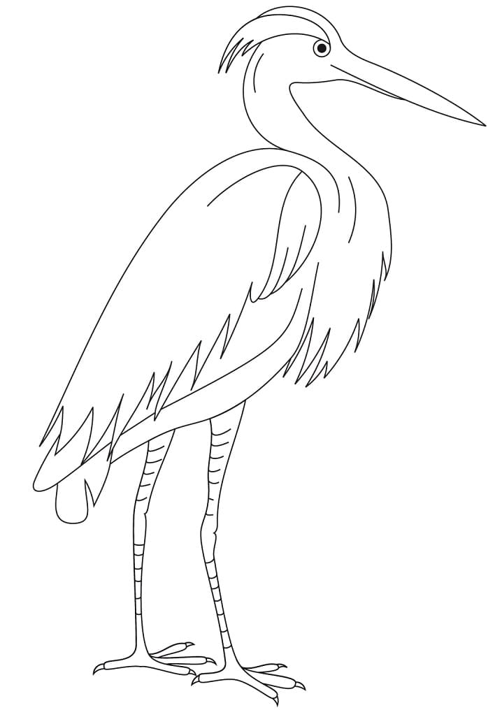 Simple Egret
