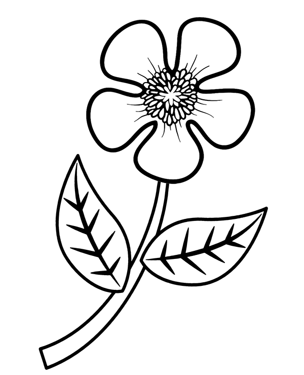 Simple Flower Printable Coloring Page