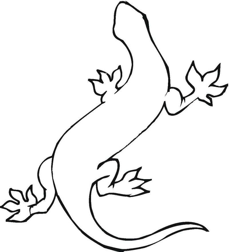 Simple Gecko Coloring Page