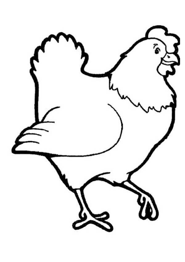 Simple Hen