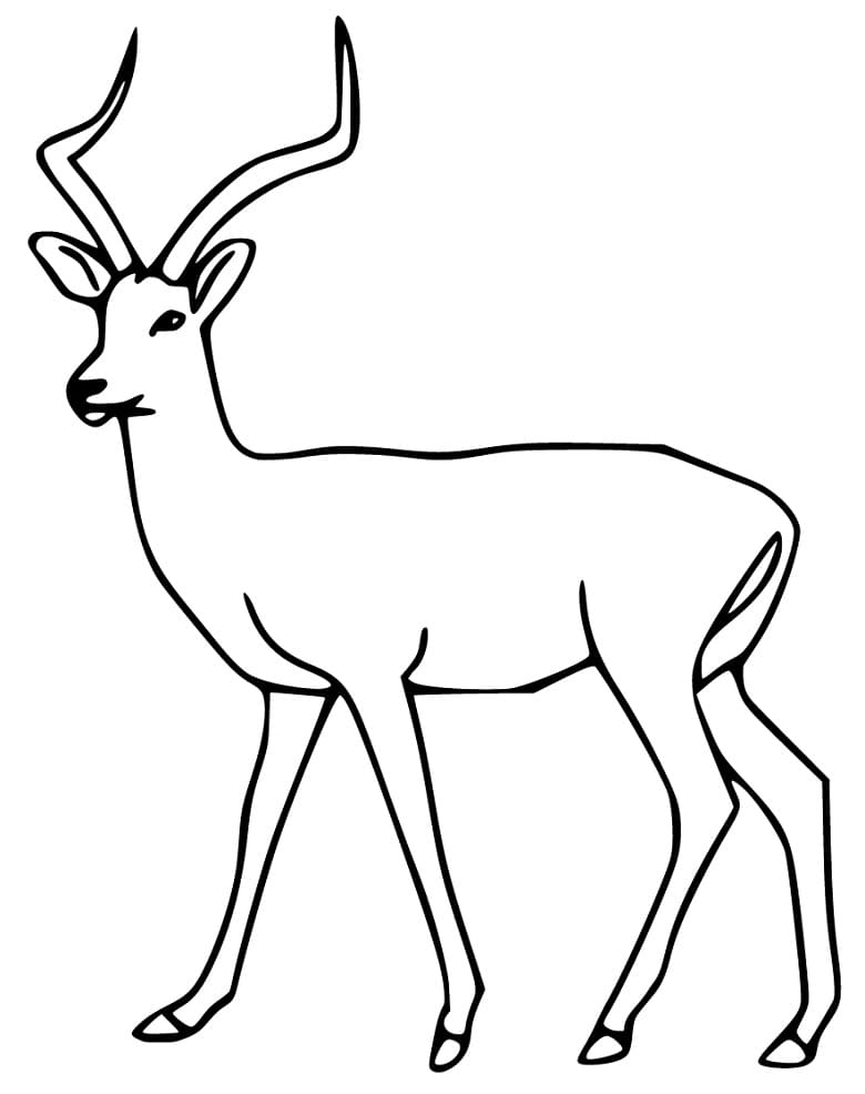 Simple Impala Coloring Page