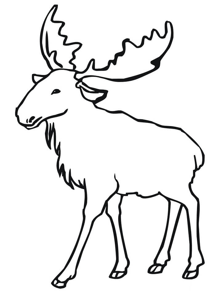 Simple Moose Coloring Page