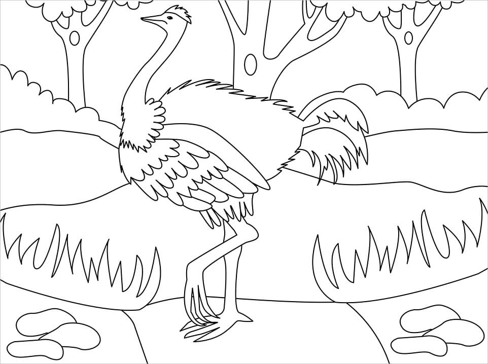 Simple Ostrich Coloring Page