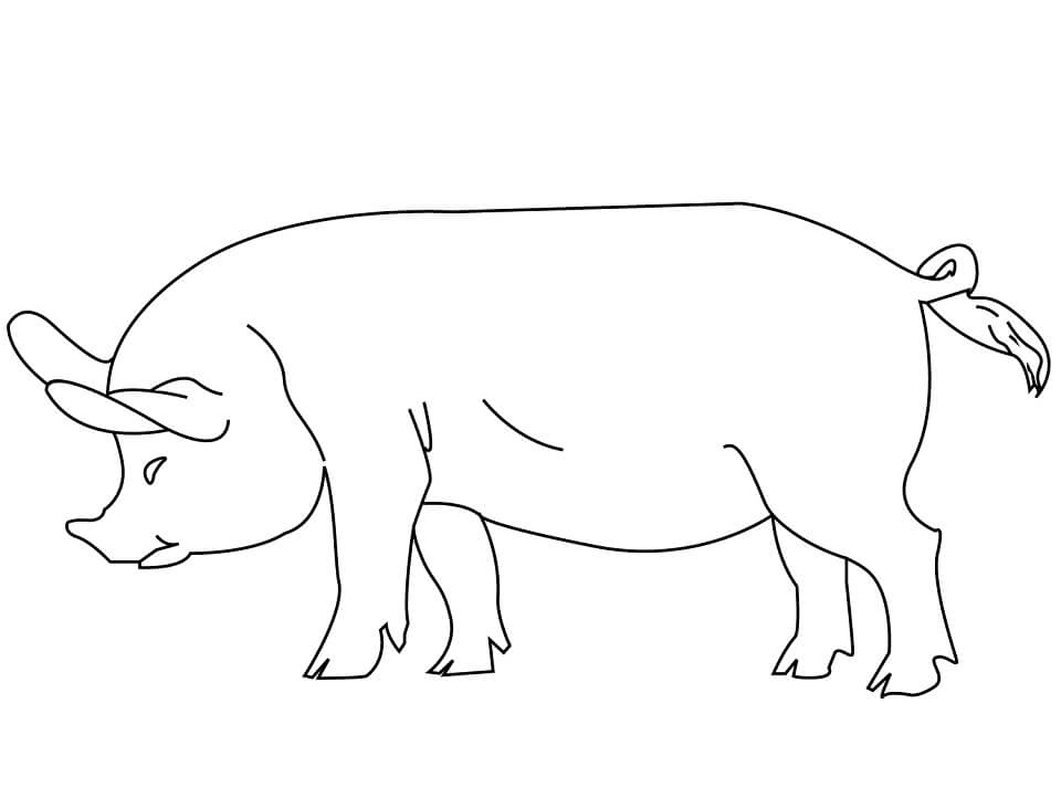 Simple Pig Coloring Page