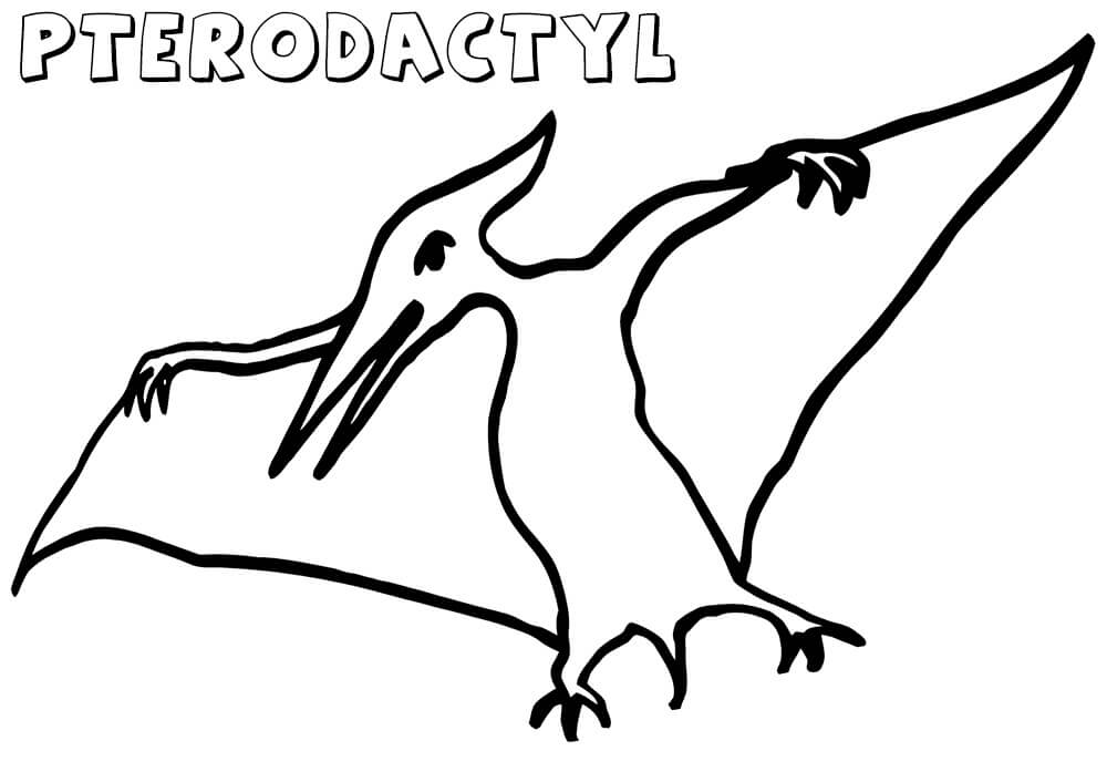 Simple Pterodactyl Coloring Page