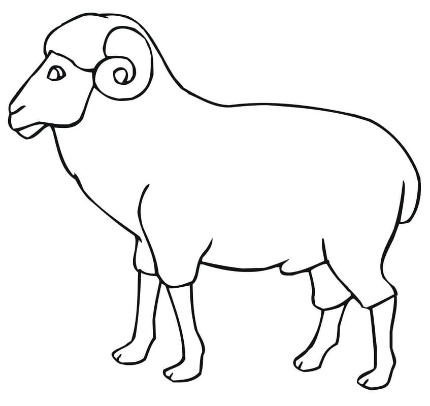 Simple Ram Coloring Page
