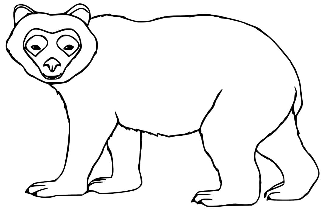 Simple Spectacled Bear